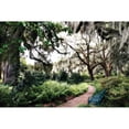 thumbnail image 3 of Hausenflock, Alan 14x11 Black Modern Framed Museum Art Print Titled - Sultry Garden II, 3 of 5