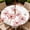 Blush Poppy, variant on ARTSLION Round Outdoor Tablecloth For Up To 36in With Umbrella Hole & Zipper Waterproof Elastic Edge Fitted Table Cover Big Sunflower For Patio Picnic Party, Explorer Theme