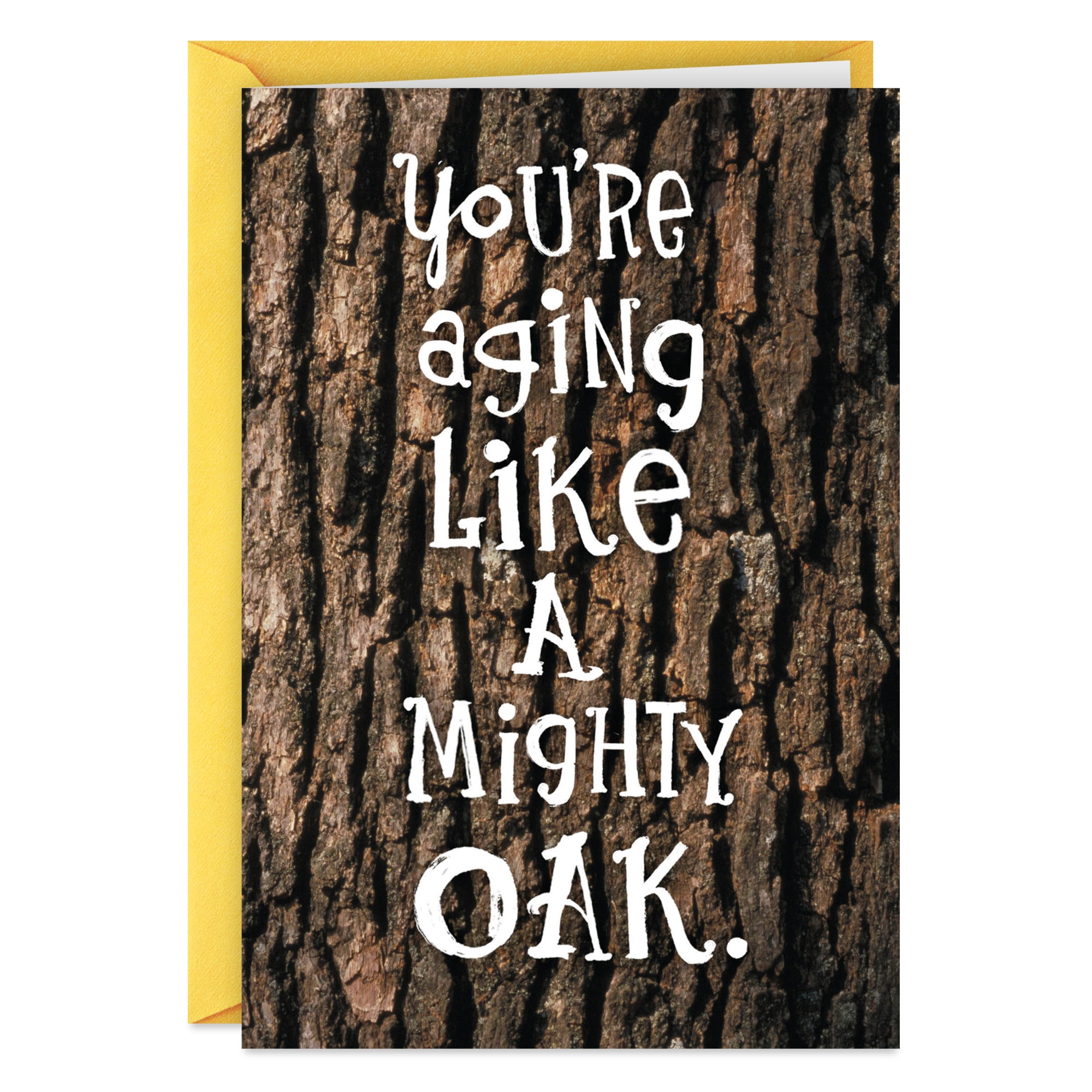 Hallmark Shoebox Funny Birthday Card (Aging Like a Mighty Oak)