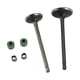 thumbnail image 2 of Valvula Admision/Escape Set Vento Nitrox 250 T2 RODA, 2 of 3