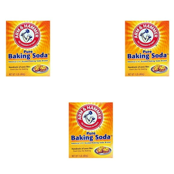 Arm & Hammer- Pure Baking Soda (454 G) (Pack of 3)