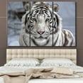 thumbnail image 6 of TISHIRON 3PCS Framed Canvas Wall Art Set,60"x40" White Bengal Tiger Canvas Art Decor, 6 of 6