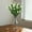 白色, variant on Clearance Under $3 Artificial Eucalyptus Camellia Bouquet 7-Fork Eucalyptus Camellia For Living Room Vase Filler,Plastic (C) (1Pc)