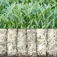 thumbnail image 7 of Age of Sage White Sage Smudge Sticks 4" Long - Sage Sticks for Cleansing and Get Rid of Negative Energy - Hand-Wrapped (12 Pack), 7 of 7