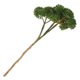 thumbnail image 1 of MERRYHAPY Plantas Suculentas Decorativas Resistentes Para Uso En Interiores Y Exteriores Con Tacto, 1 of 8