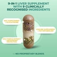 thumbnail image 2 of Vital Liver Support – Daily Liver Wellness Supplement – 9-in-1 Plant-Based Formula with Milk Thistle – Supports Liver Health, 2 of 8