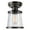 Brown, variant on Charlie 1-Light Oil Rubbed Bronze Outdoor, Indoor Semi-Flush Mount, 44301