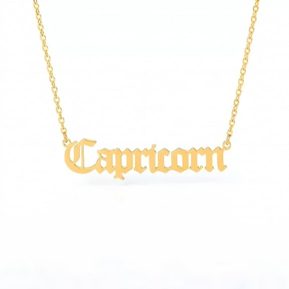 TELOLY Zodiac Sign Necklace Horoscope Pendant Long Chain Necklaces Women Jewelry Gifts-Gold Color-Capricorn