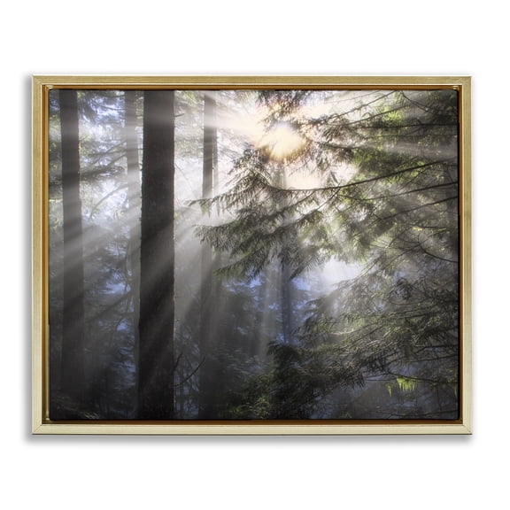 Stupell Industries Farmhouse Forest Sun Rays Nature Scenery Gold Floating Frame Canvas Art, 21 x 17, by Dennis Frates