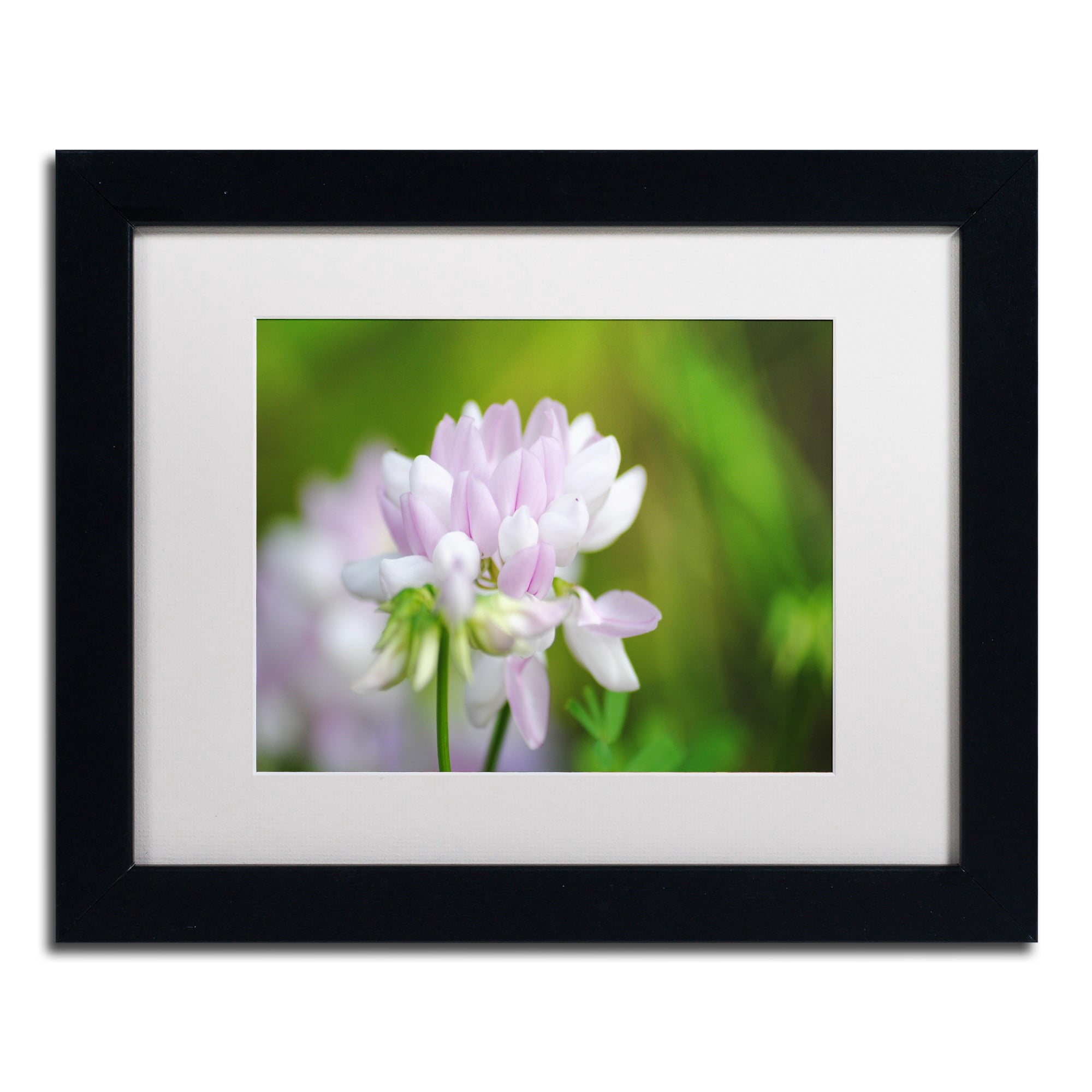 Trademark Fine Art "Calm Heart" Canvas Art by Monica Mize, White Matte, Black Frame