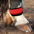 thumbnail image 3 of LED Horse Ankle Bands - 4 Pieces Safety Leggings, Flexible 4 Modes Horse Ankle Straps | Abrasion-Resistant PVC LED Horsess Leg Bands for Night Riding Trail Road Parade Farm Stable Ranch Stall, 3 of 9