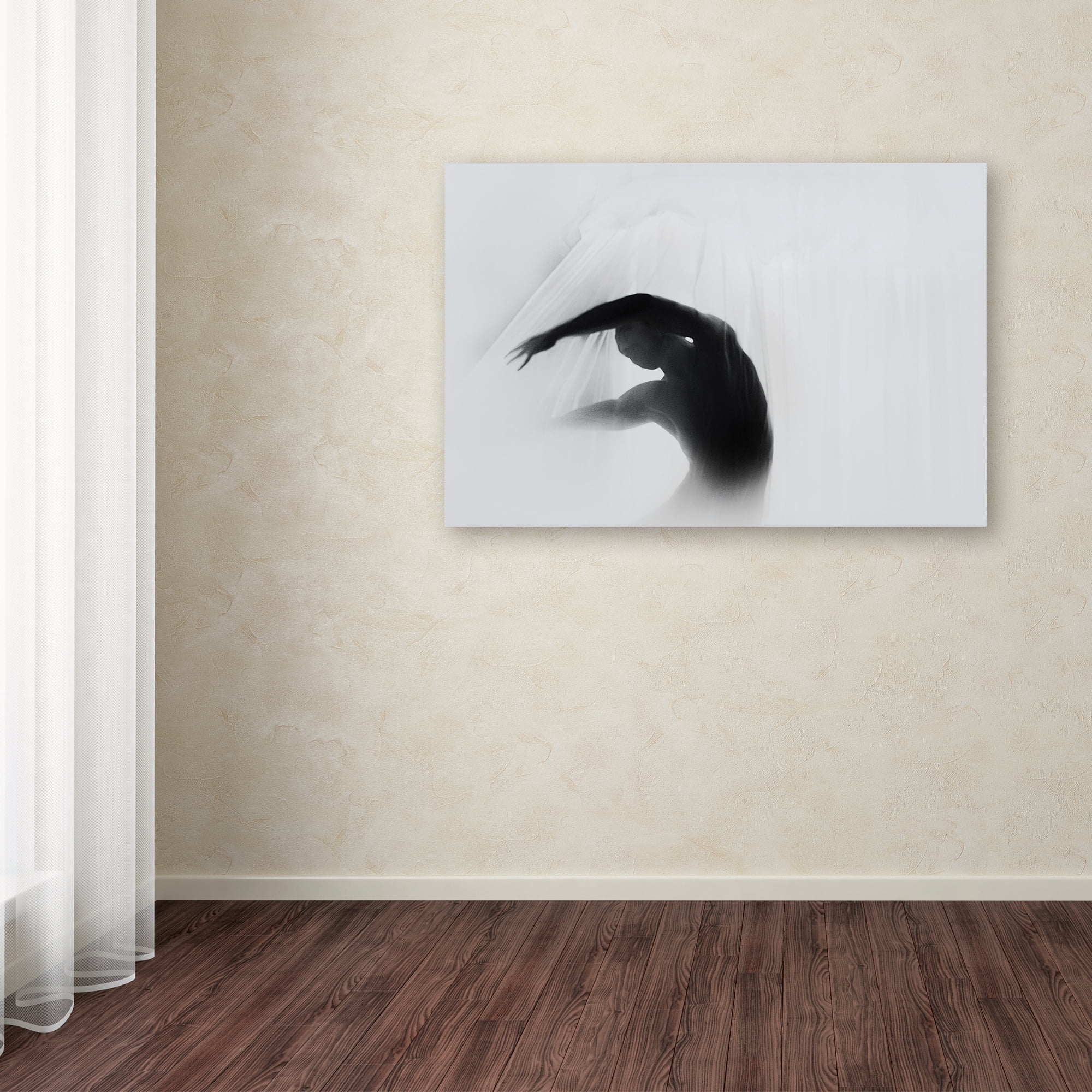 Babak Haghi 'The Dance Of Silence' Canvas Art