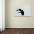 thumbnail image 3 of Babak Haghi 'The Dance Of Silence' Canvas Art, 3 of 3