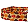 thumbnail image 5 of Country Brook Petz® Nature Walk Martingale Dog Collar, Medium, 5 of 5