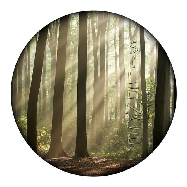Next Innovations Silence 101409002- 16 Po Silence Art Mural Rond