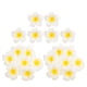 thumbnail image 4 of ColoMX 20 piezas pinza para el pelo de flores, horquilla de flor de Plumeria Artificial, accesorios para el cabello de novia para fiesta en la playa, 4 of 7