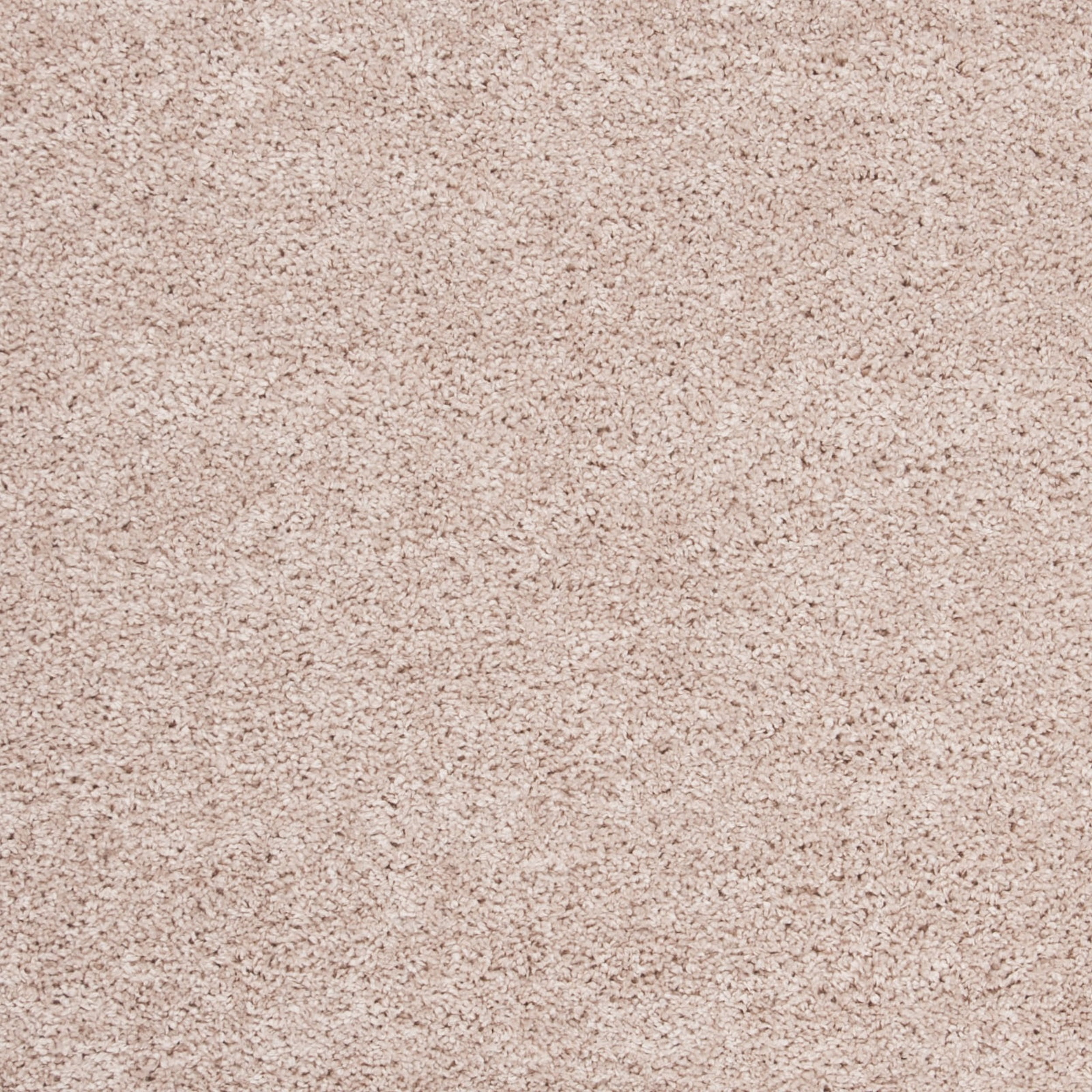 SAFAVIEH Solo Dulcibella Solid Plush Shag Area Rug, Beige, 6'7" x 6'7" Square