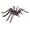 1PC Realistic Animal Spider Model#10, variant on Realistic Animal Spider Model, Detailed Tarantula Figurine, Realistic Insect Replica, Perfect for Science Learning, Pranks & Collectible Souvenir 1PC