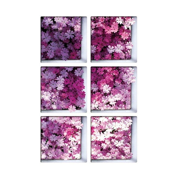 Raindrops 6 Pcs 3D Bathtub Stickers Non-slip Waterproof Removable Bathtub Decals Wall Stickers for Bathroom Toilet (13x13cm)