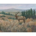 thumbnail image 2 of OToole, Tim 18x15 Gold Ornate Wood Framed with Double Matting Museum Art Print Titled - Western Wildlife II, 2 of 4