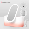 thumbnail image 1 of Miroir de Courtoisie à LED Alimenté par Usb avec Couleur Dégradée et Compartiment de Rangement Intégré, Lumière Douce pour une Véritable Réflexion de Maquillage, Design Compact (24,1x10,5x11,4cm) pour l'Organisation et le Bureau des Petits Objets, 1 of 6