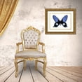 thumbnail image 3 of Bosco, Julia 18x15 Gold Ornate Wood Framed with Double Matting Museum Art Print Titled - Vibrant Butterfly III, 3 of 4