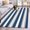 Blue Grey, variant on Entryway Rug 2x3 Ft, Spring Floral Non Slip Small Area Rugs for Front Door, Summer Birds Botanical Fence Washable Low Pile Accent Carpet Doormat for Indoor Entrance Kitchen Bathroom Doorway