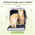 thumbnail image 6 of Large Cat Carrier for 2 Cats, 21.7X 13.8X 13.8in Pet Carrier for Cat and Dog Up to 38lbs, All-Sided Mesh Cat Carriers with Great Ventilation, Portable Soft Sided Pet Carriers for Traveling, 6 of 12