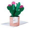 thumbnail image 1 of Hallmark Paper Wonder Pop Up Card (Potted Cactus), 1 of 5