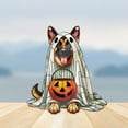 thumbnail image 4 of Halloween Stained Acrylic Window Hanging - Cute Dog Wall Decoration, Acrylic Halloween Ghost Dog with Pumpkin Gothic Decorations for Home, Tavern (Pumpkin Dog), 4 of 6