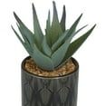thumbnail image 6 of DecMode 4" Artificial Succulent Plant in Realistic Leaves and Patterned Pot (4 Count), 6 of 10
