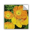 thumbnail image 2 of ArtAppealz Allan Friedlander "Blazing Glory" Removable Wall Art, 2 of 2