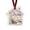 A004- Style D, variant on Christmas Money Holder Ornament with Clear Acrylic House Design, Festive Cash Gift Tag for Xmas Tree Decor, Holiday Present 1 Pc