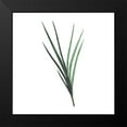 thumbnail image 2 of Villa, Mlli 20x20 Black Modern Framed Museum Art Print Titled - Green Leaves, 2 of 5