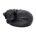 thumbnail image 1 of Urna conmemorativa para mascotas, recuerdo, figura conmemorativa, organizador, urnas de cenizas para mascotas, para repisa de chimenea, mesa, 1 of 8