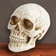 thumbnail image 2 of Resina cráneo decoración artesanía figurillas casero bar escritorio accesorios decorativos estilo gótico estilo de vida enseñando apoyo para fiesta de halloween Kearding HA011077-00B, 2 of 7