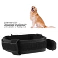 thumbnail image 3 of Collar para perros al aire libre cómodo collar para perros en D hebilla ajustable de acero inoxidable nailon para entrenamiento ANGGREK Otros, 3 of 8