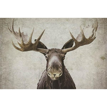 SALE/60%OFF】 moose´s RACING ニット RACING:ムースレーシング
