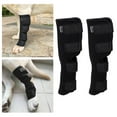 thumbnail image 1 of Soporte para piernas para perros Salvador Rodillera Transpirable 2L, 1 of 10