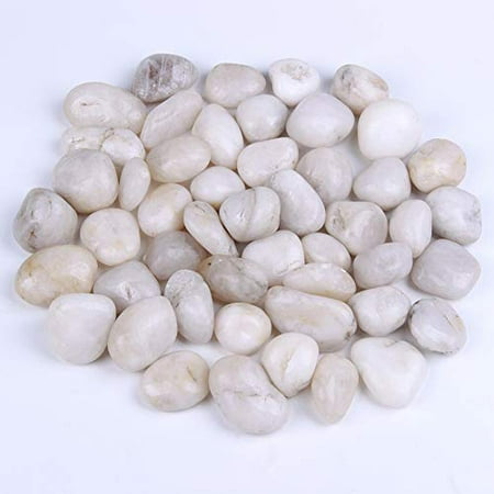 Rocks for Succulent Plants or Bonsai Garden, 3lb Bulk Bag - 1 inch 20-30mm White Decorative Gravel Pebbles for Plants