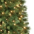 Holiday Time 7Ft Pre Lit Duncan Fir 03 - 2rpsxxl