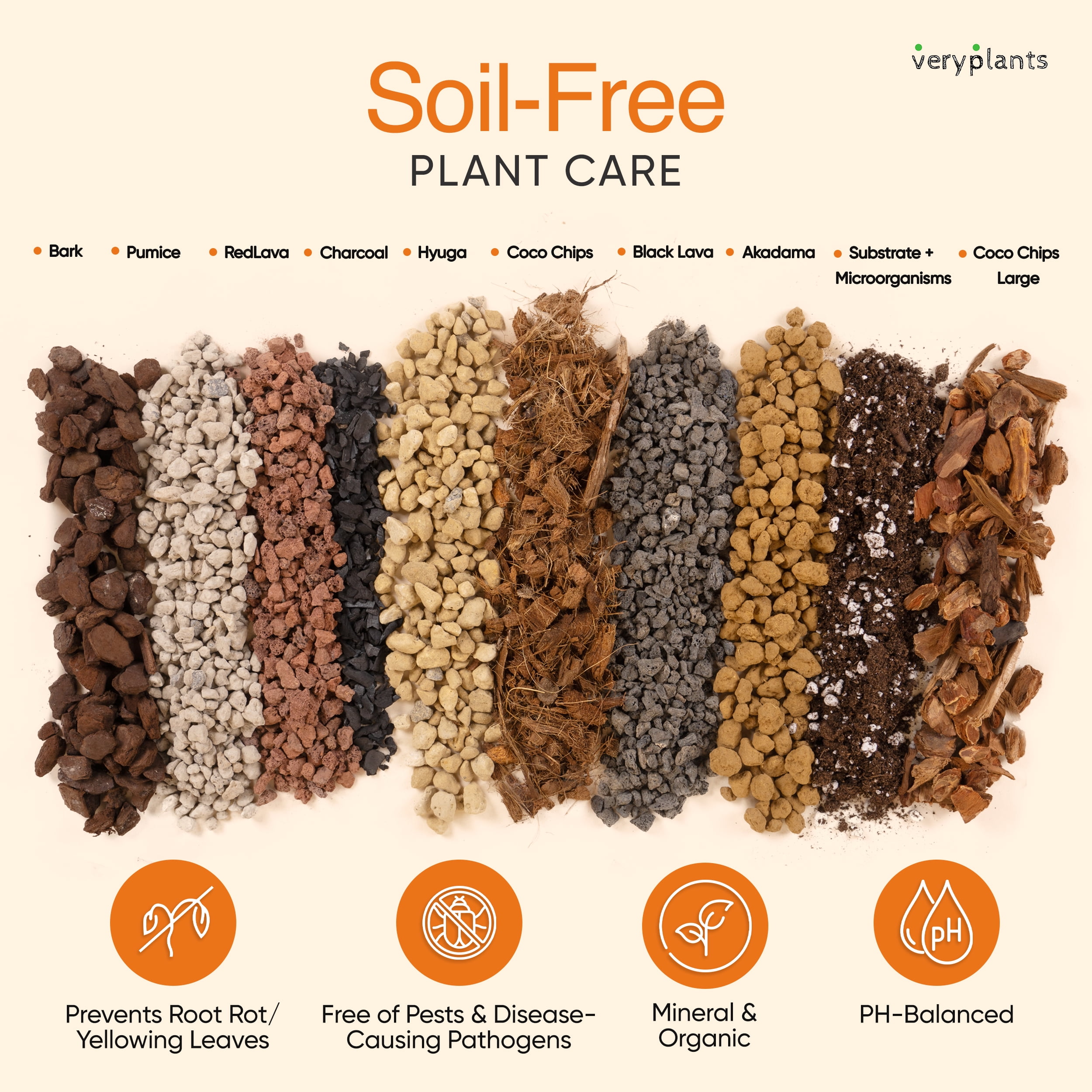 VERYPLANTS Molly's Succulent Mix Soil, 3 Dry qt