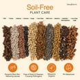 thumbnail image 5 of VERYPLANTS Molly's Succulent Mix Soil, 3 Dry qt, 5 of 5