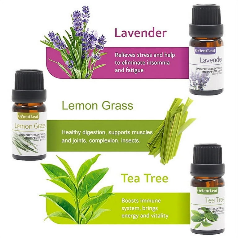 OrientLeaf Essential Oils Set, Orange Essential Oil, Lavender Oil