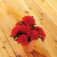 thumbnail image 3 of Artificial Zinnia Bush by OakRidge™, 3 of 4