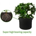 thumbnail image 4 of 3-pack Grow Bags Fabric Smart Pots For Plants With Handles Bundle 3 gallon, 4 of 5