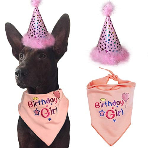 birthday girl bandana for dogs