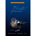 thumbnail image 1 of The Socotra Sparrow, 1 of 1