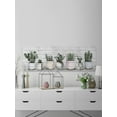 thumbnail image 5 of Marmont Hill Cactus Sets White Wood Wall Art, 5 of 7