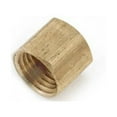 thumbnail image 2 of Anderson Metals Corp. Brass Threaded Pipe Cap, Metal Pipe Thread Cap - 1/4 In., 2 of 3